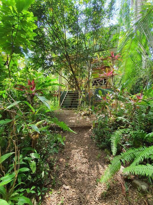 Cabina Gan Eden - Walking Distance From River Portalon Luaran gambar